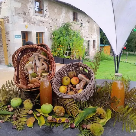 公寓 Du Hallot Avec Spa, Curistes Le Clerjus