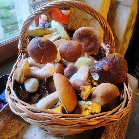 Du Hallot Avec Spa, Curistes