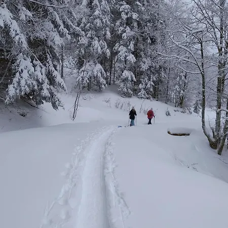Du Hallot Avec Spa, Curistes Le Clerjus